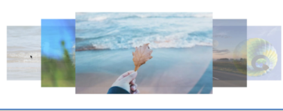 测试活动